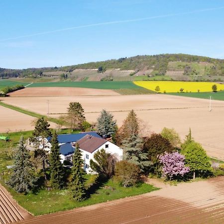 Ferienwohnungen Rosenhof Karlstadt Exterior photo