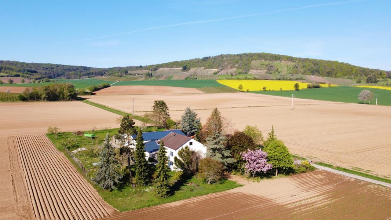 Ferienwohnungen Rosenhof Karlstadt Exterior photo